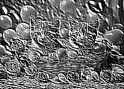 Skamielina