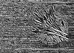 Skamielina