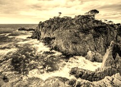 Szary + Sepia