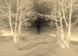 Sepia + Negatyw