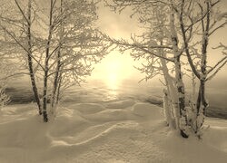 Szary + Sepia
