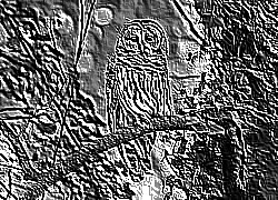 Skamielina