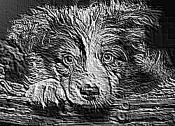 Skamielina
