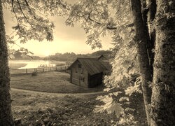 Szary + Sepia
