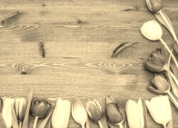 Szary + Sepia