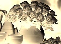 Sepia + Negatyw