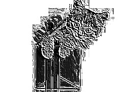 Skamielina