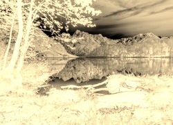 Sepia + Negatyw