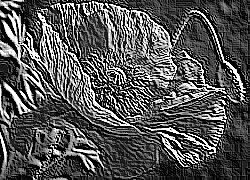 Skamielina
