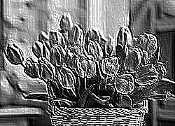 Skamielina
