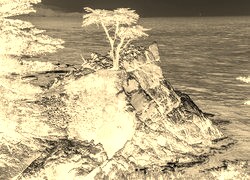 Sepia + Negatyw