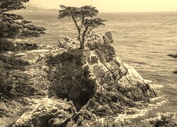 Sepia