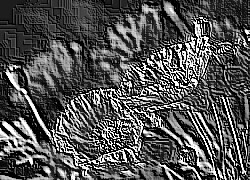 Skamielina