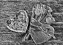 Skamielina