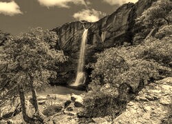 Szary + Sepia