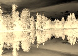 Sepia + Negatyw