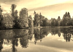 Szary + Sepia