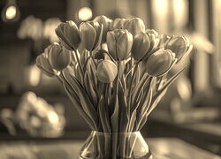 Szary + Sepia