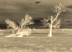 Sepia + Negatyw