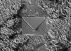Skamielina