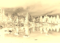 Sepia + Negatyw