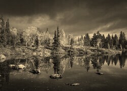 Szary + Sepia