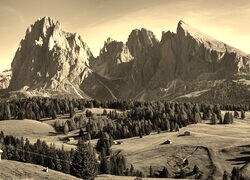 Szary + Sepia