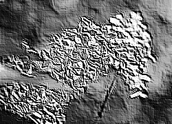 Skamielina