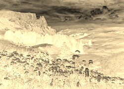 Sepia + Negatyw