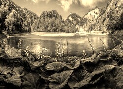 Szary + Sepia