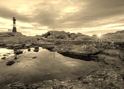 Szary + Sepia