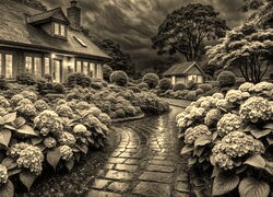 Szary + Sepia