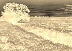 Sepia + Negatyw