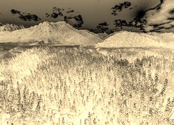 Sepia + Negatyw