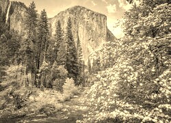 Sepia