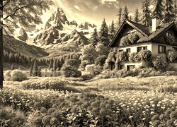Szary + Sepia
