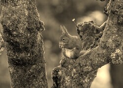 Sepia