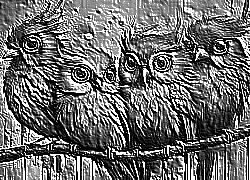 Skamielina