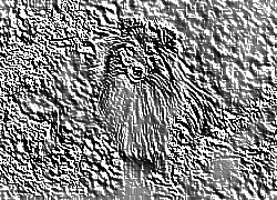 Skamielina
