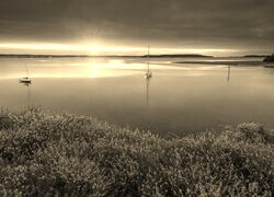 Szary + Sepia