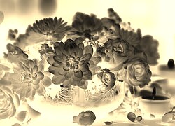 Sepia + Negatyw
