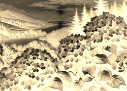 Sepia + Negatyw