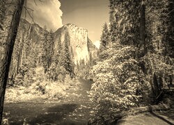 Sepia
