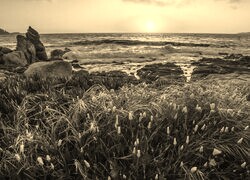 Szary + Sepia