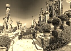 Szary + Sepia