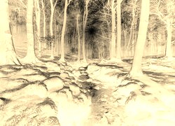 Sepia + Negatyw