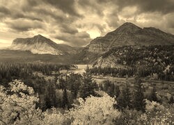 Szary + Sepia