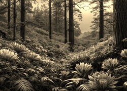 Sepia
