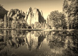 Szary + Sepia