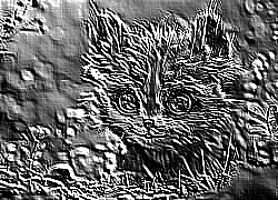 Skamielina
